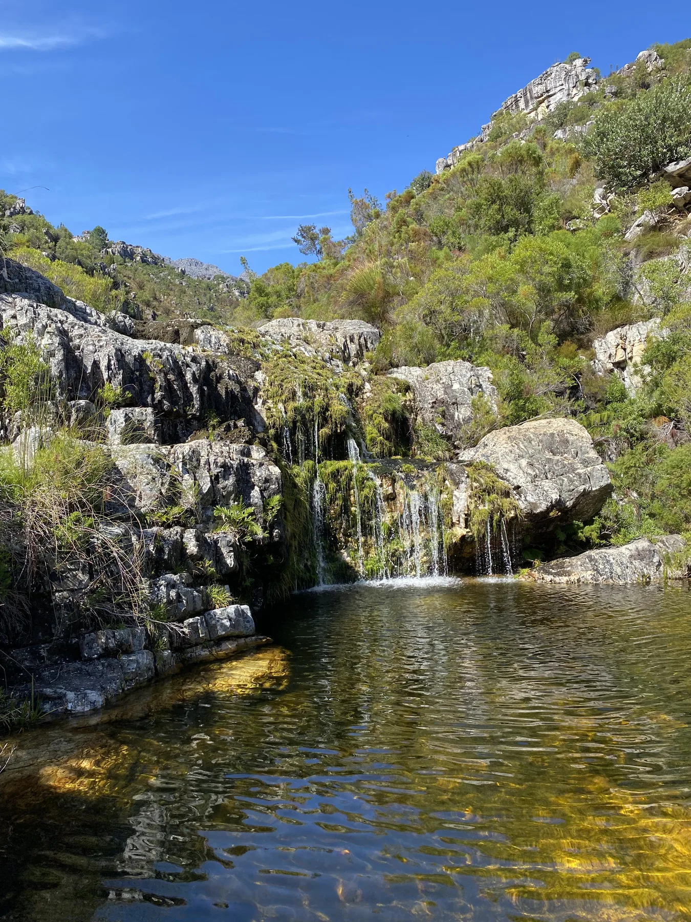 Clear mountain rock pool along the Witte River route