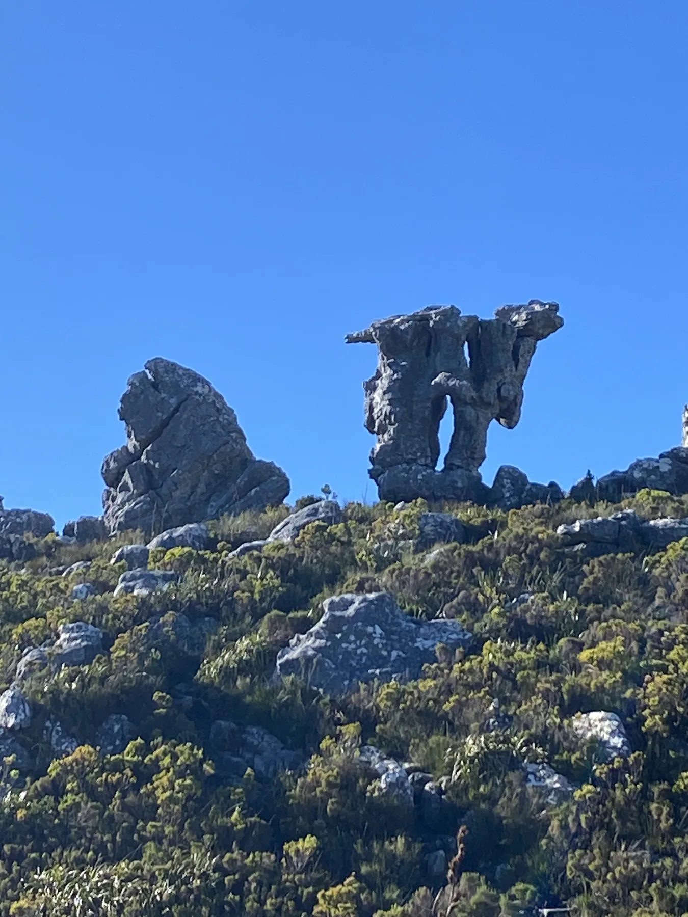 Camel Rock formation on Table Mountain