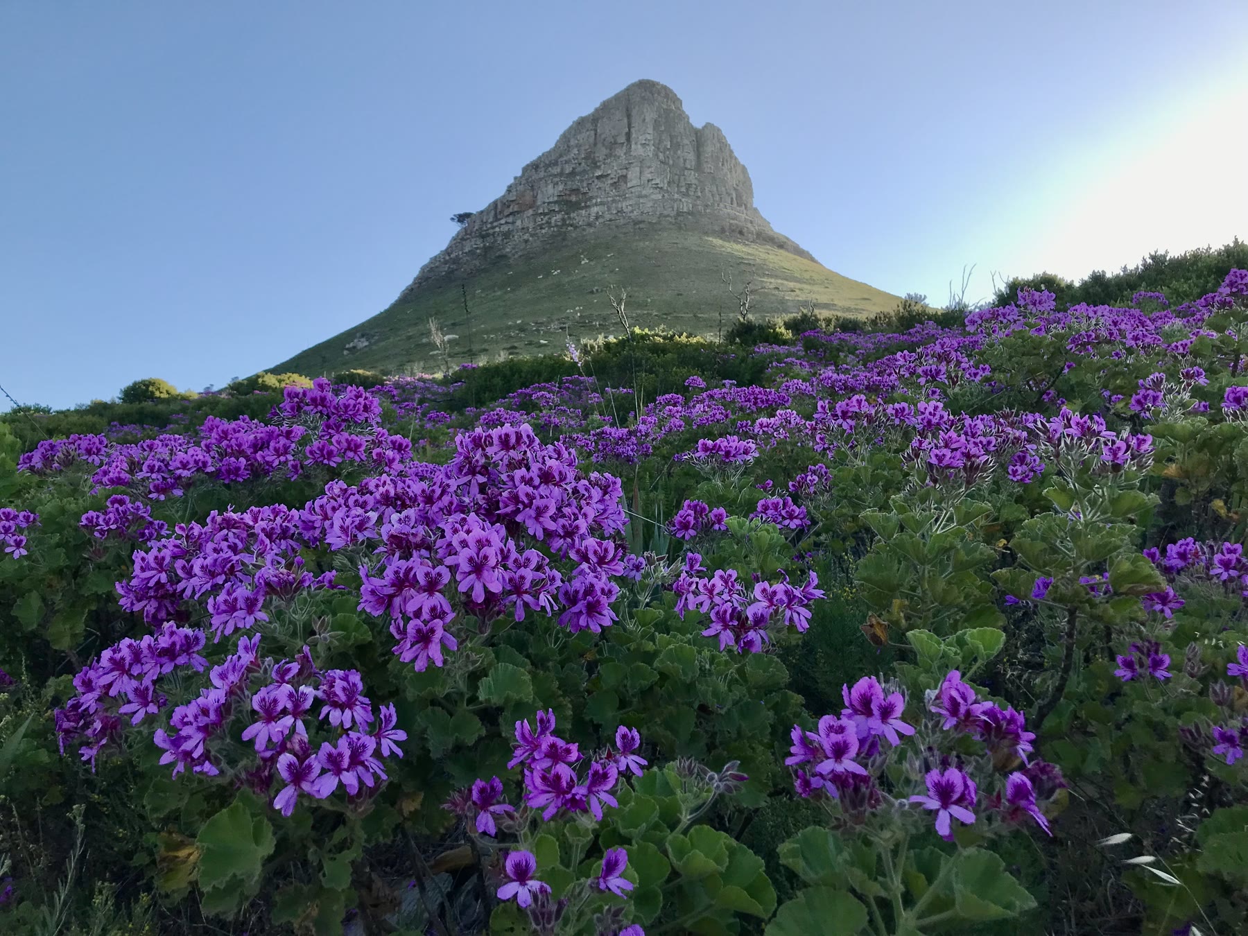 Guests enjoying the Lion’s Head route